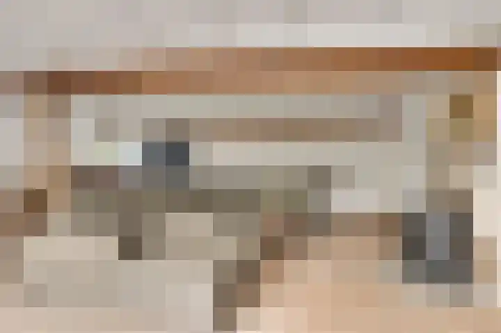 Zitterd 2 a Soerendonk thumbnail 12