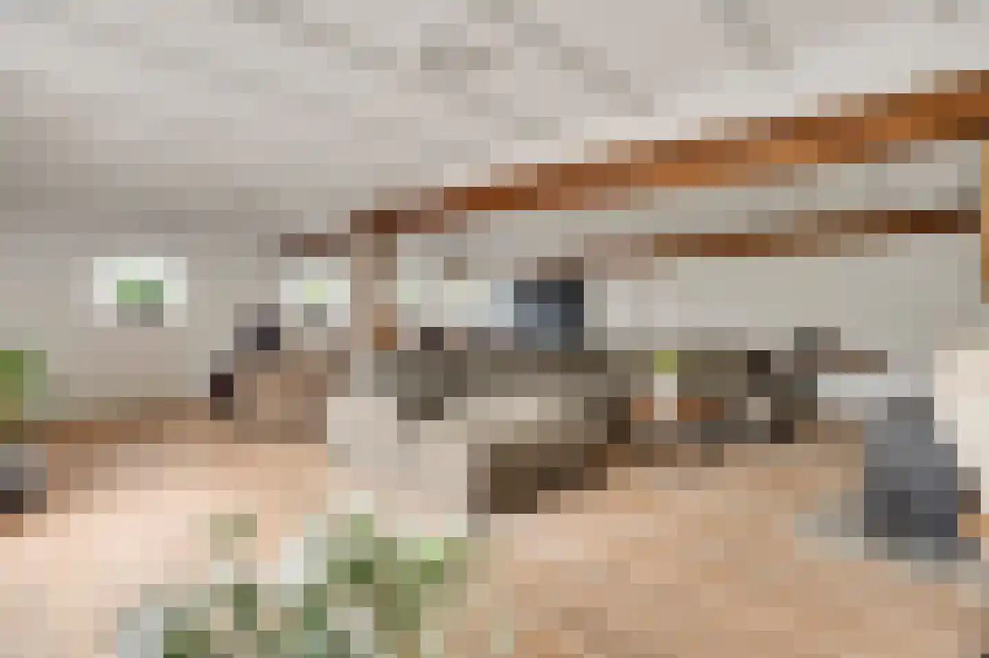 Zitterd 2 a Soerendonk thumbnail 13