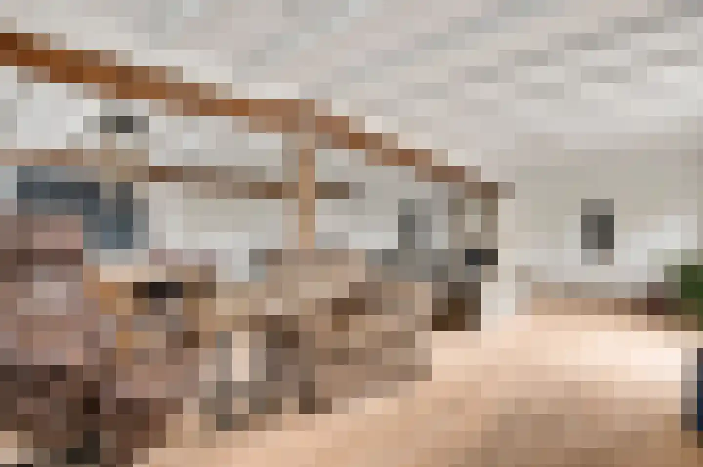 Zitterd 2 a Soerendonk thumbnail 14