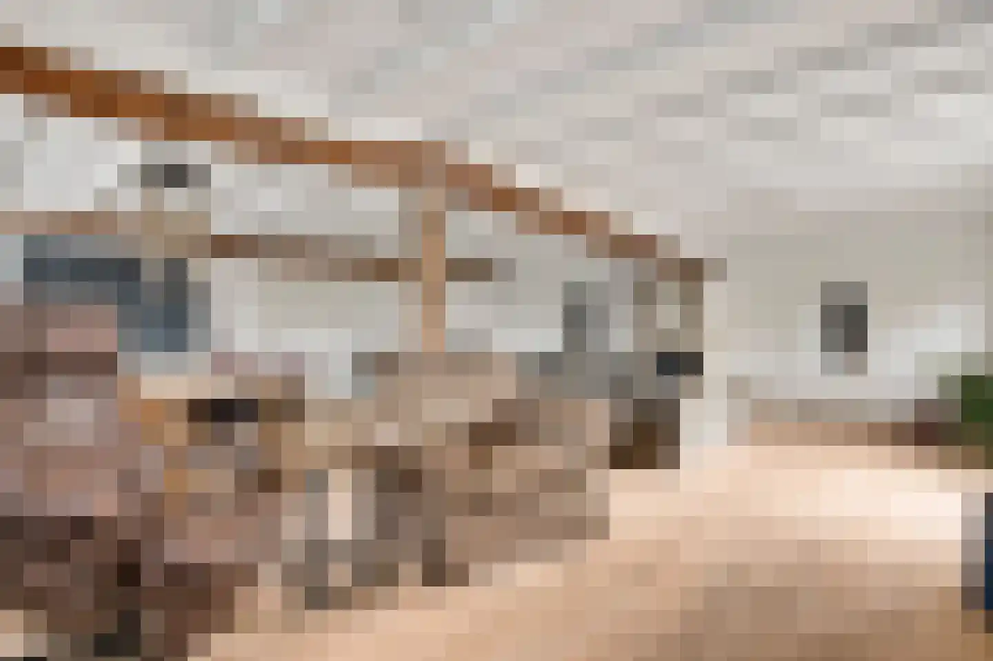 Zitterd 2 a Soerendonk thumbnail 14
