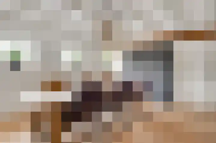 Zitterd 2 a Soerendonk thumbnail 15