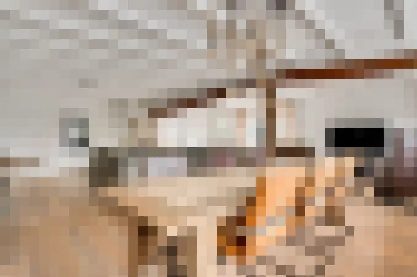 Zitterd 2 a Soerendonk thumbnail 16