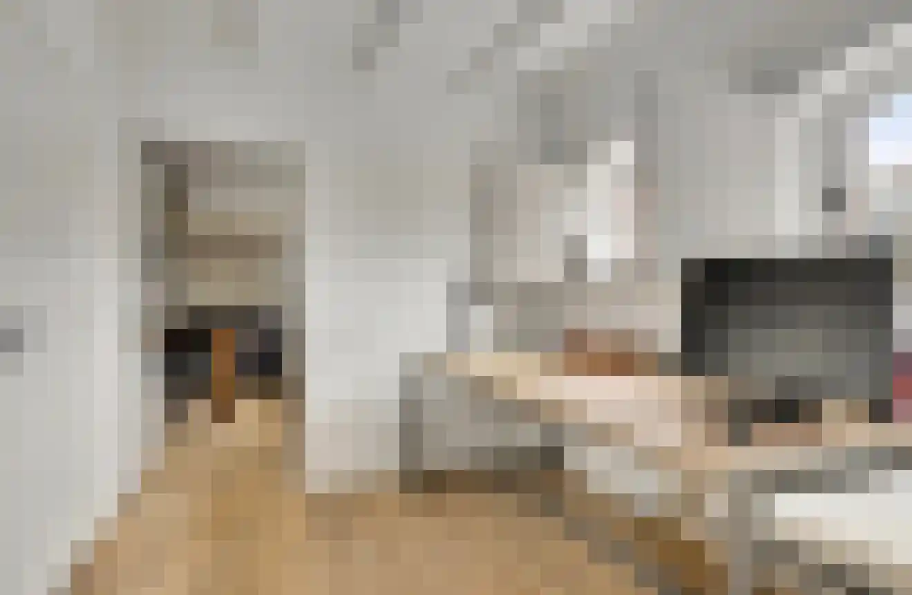 Zitterd 2 a Soerendonk thumbnail 17