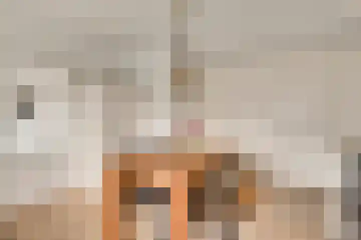 Zitterd 2 a Soerendonk thumbnail 24