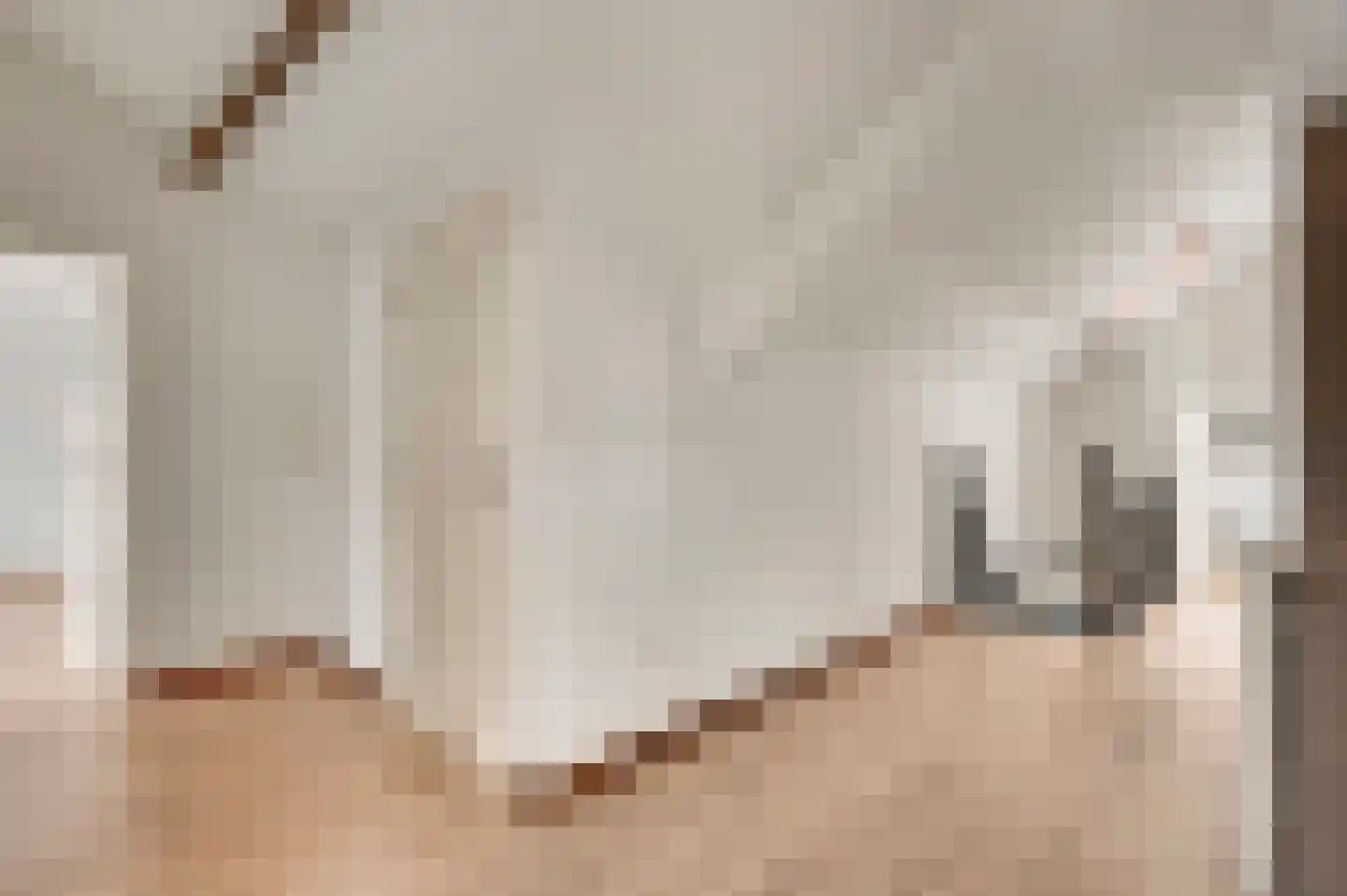 Zitterd 2 a Soerendonk thumbnail 29