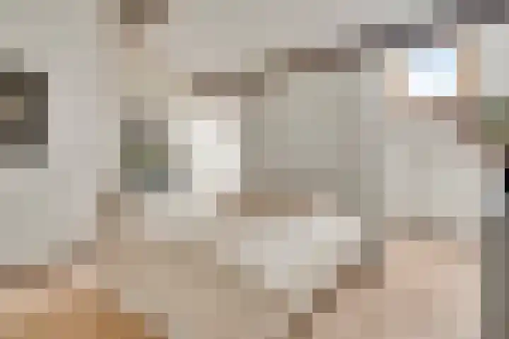 Zitterd 2 a Soerendonk thumbnail 33