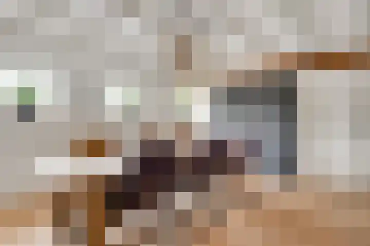 Zitterd 2 a Soerendonk thumbnail 4