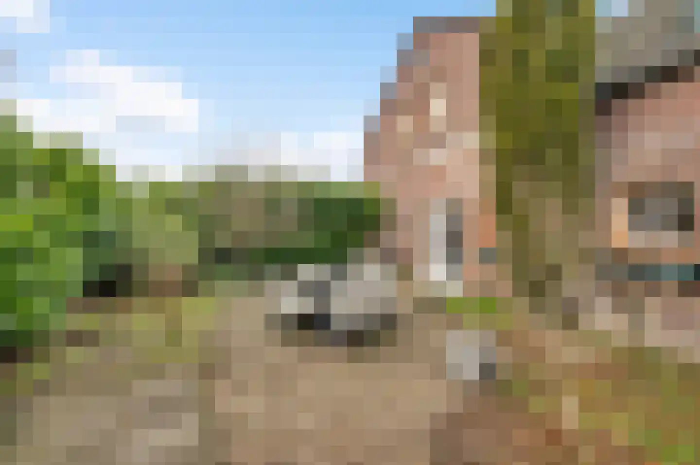 Zitterd 2 a Soerendonk thumbnail 45