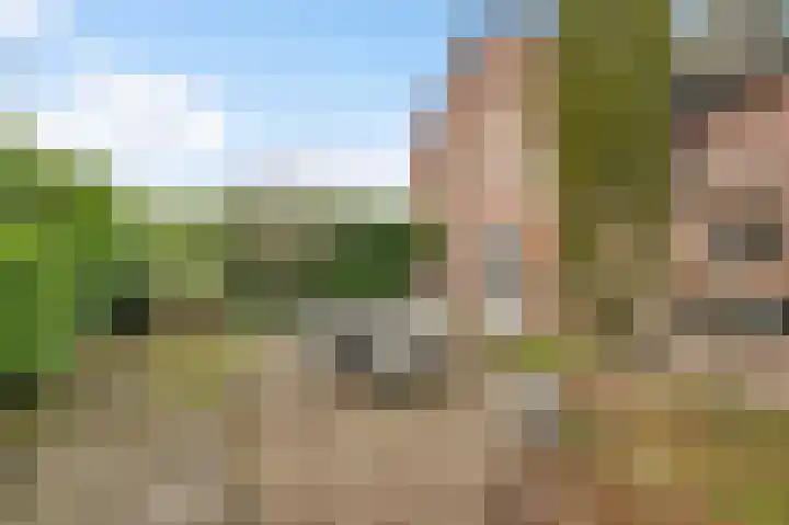 Zitterd 2 a Soerendonk thumbnail 45