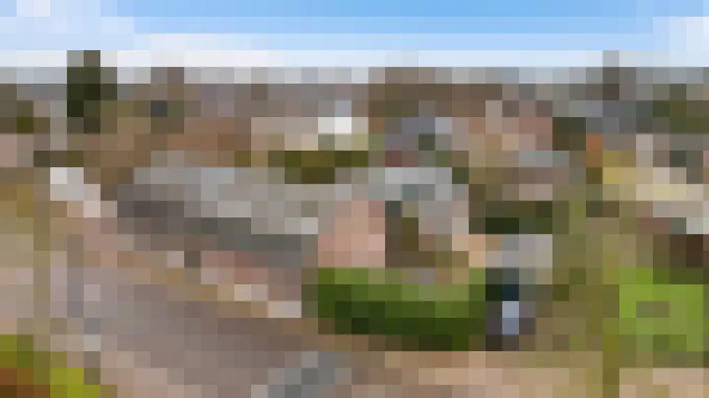 Zitterd 2 a Soerendonk thumbnail 51