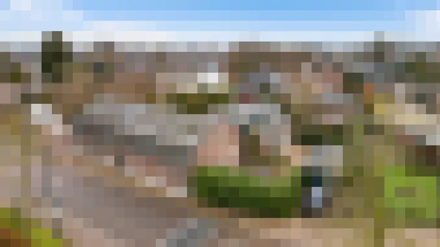 Zitterd 2 a Soerendonk thumbnail 51