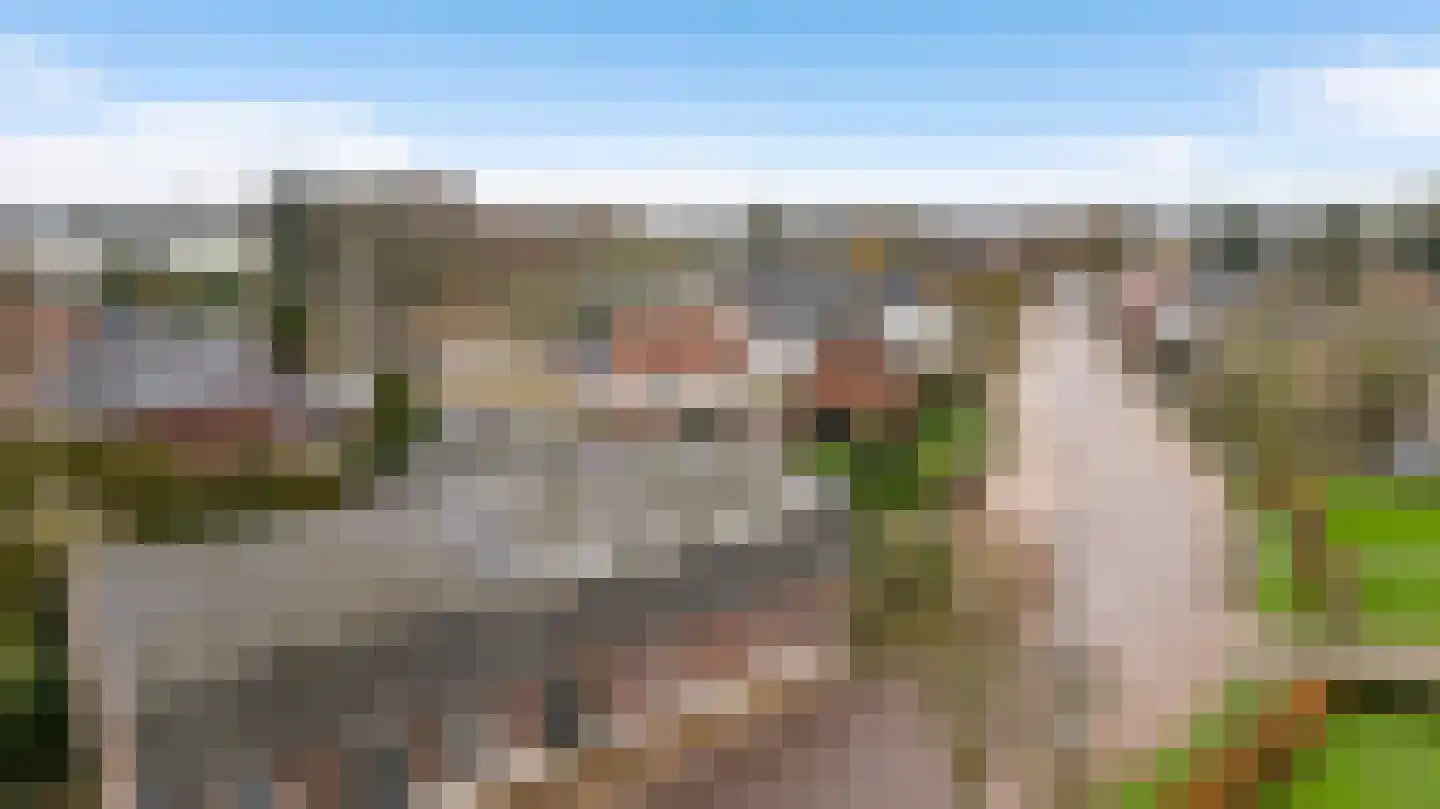Zitterd 2 a Soerendonk thumbnail 53