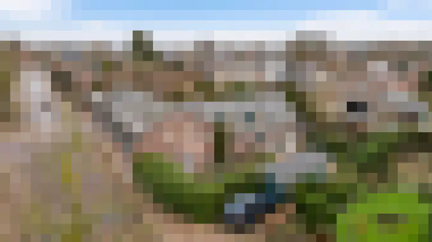 Zitterd 2 a Soerendonk thumbnail 59