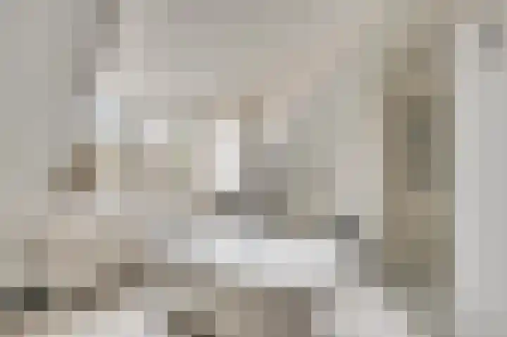 Zitterd 2 a Soerendonk thumbnail 6