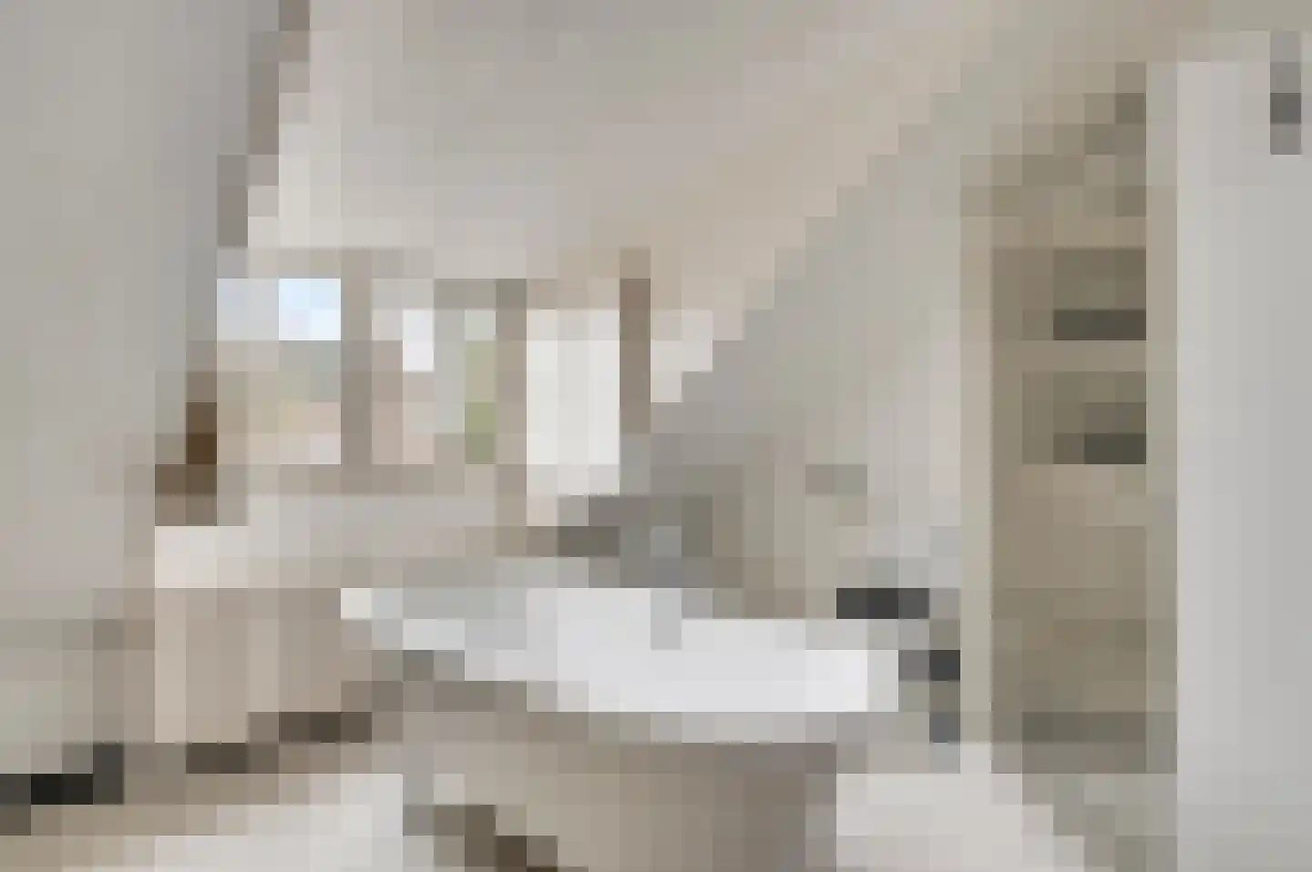 Zitterd 2 a Soerendonk thumbnail 6