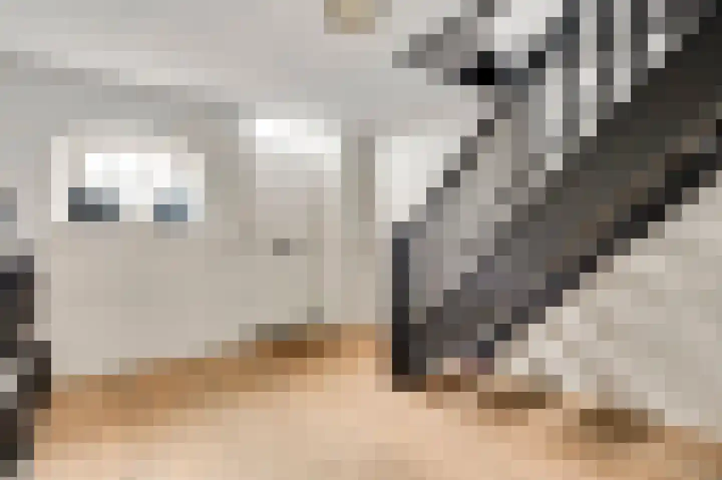Zitterd 2 a Soerendonk thumbnail 7