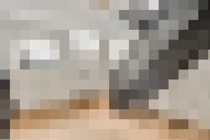 Zitterd 2 a Soerendonk thumbnail 7