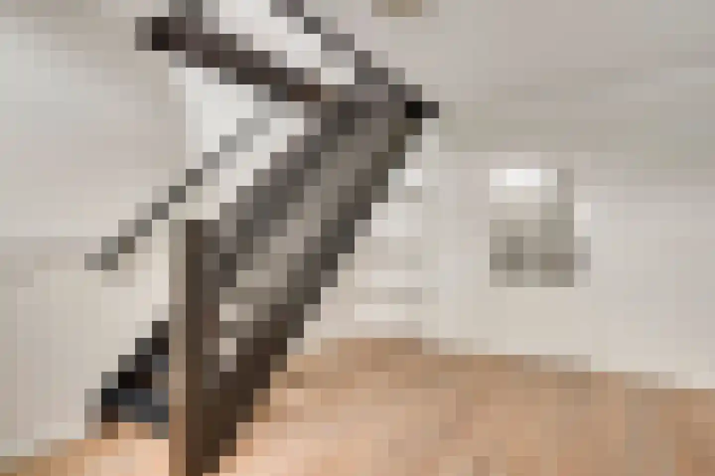 Zitterd 2 a Soerendonk thumbnail 8