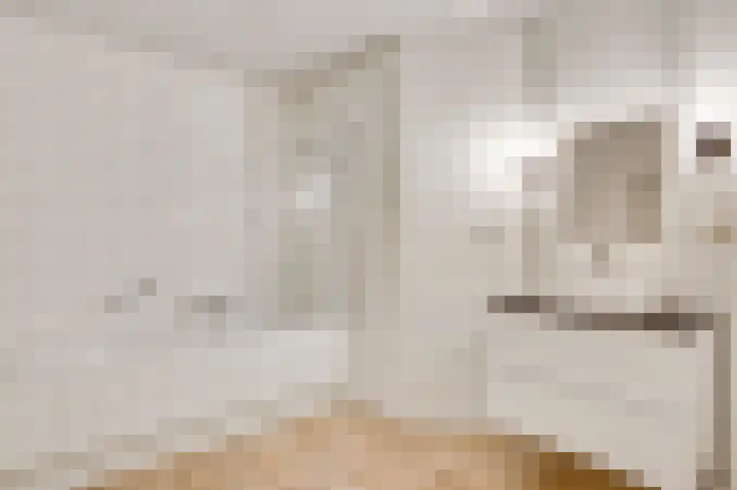 Zitterd 2 a Soerendonk thumbnail 9