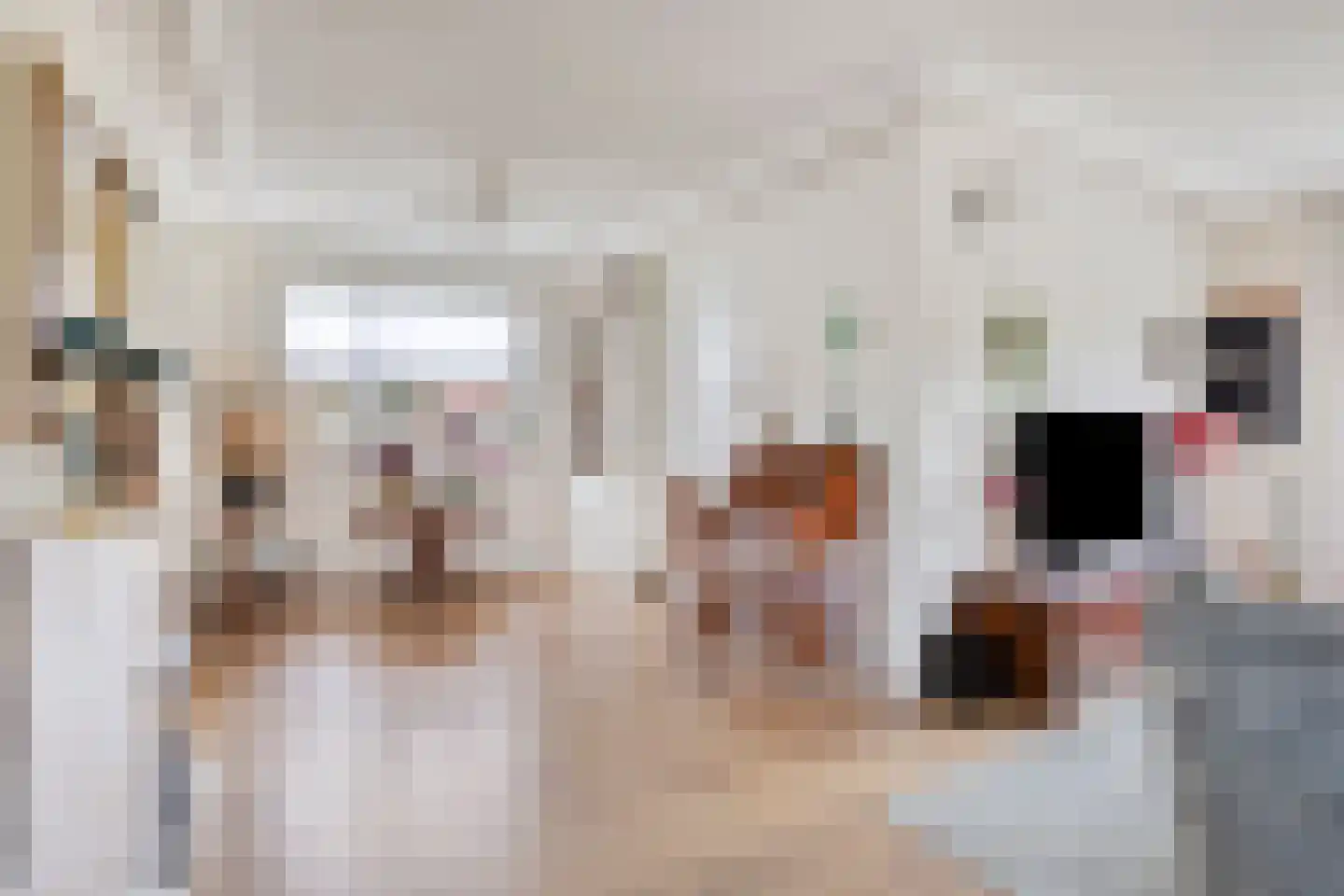 Zittertstraat 2 Grave thumbnail 11