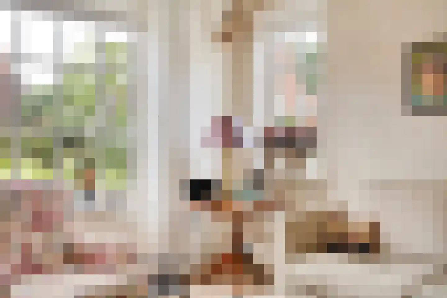 Zittertstraat 2 Grave thumbnail 13