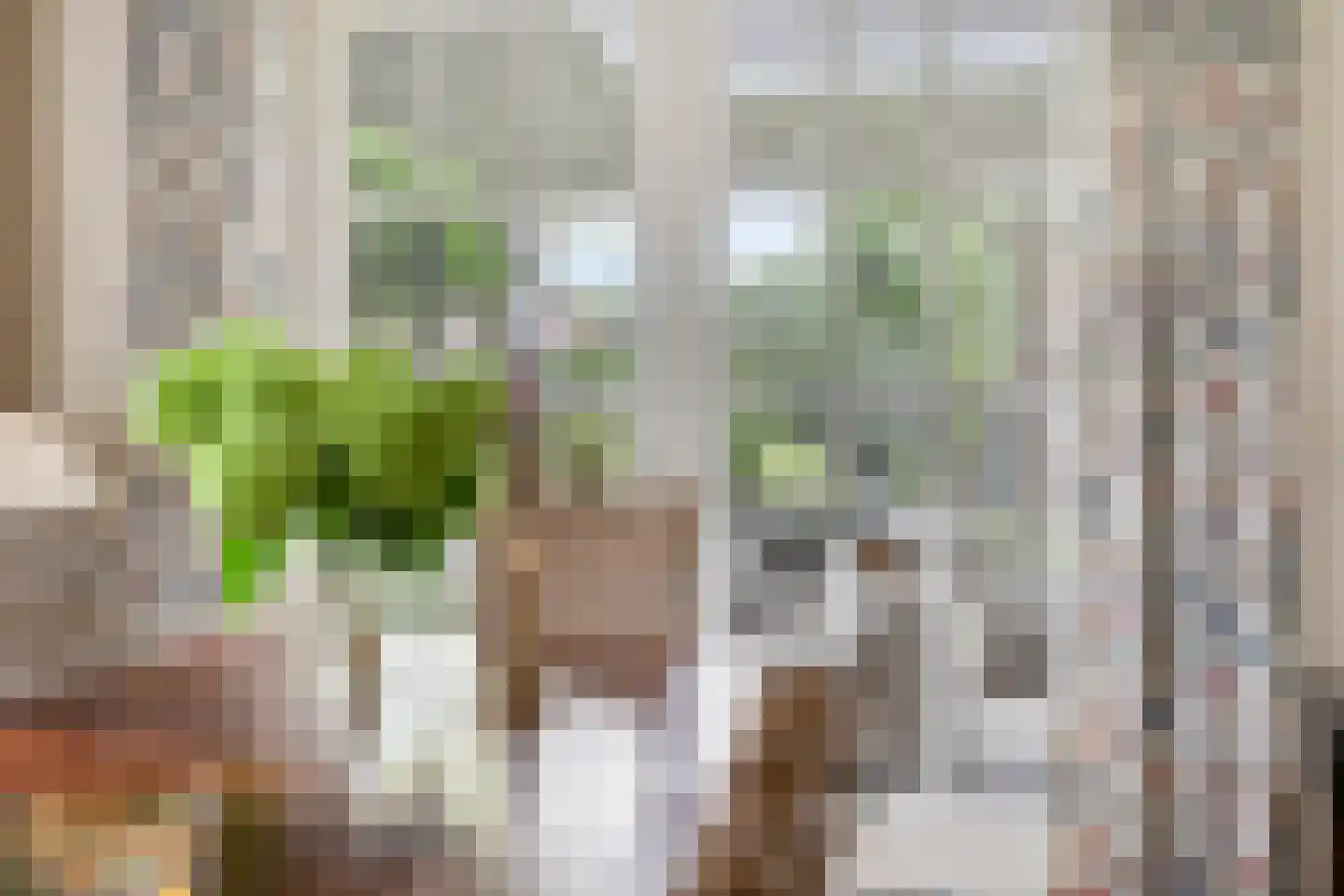 Zittertstraat 2 Grave thumbnail 16