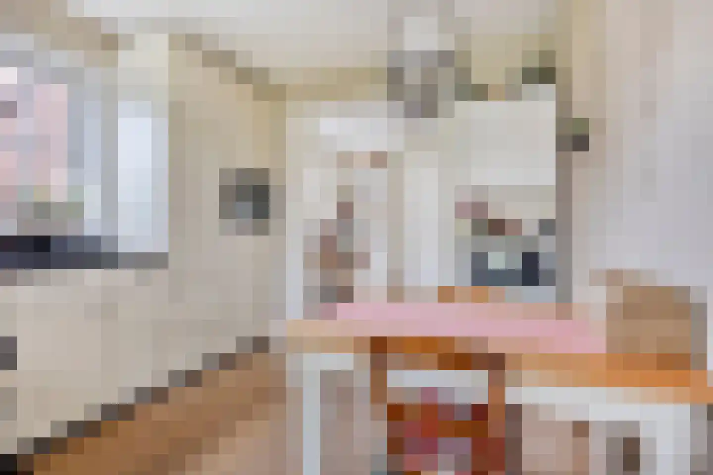 Zittertstraat 2 Grave thumbnail 20