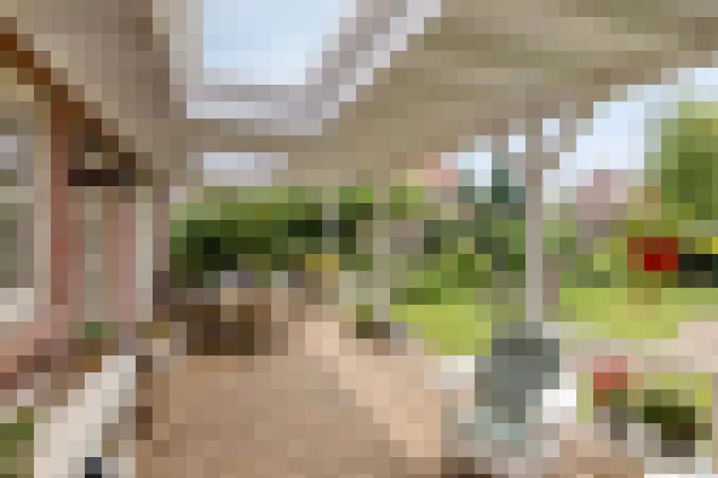 Zittertstraat 2 Grave thumbnail 22