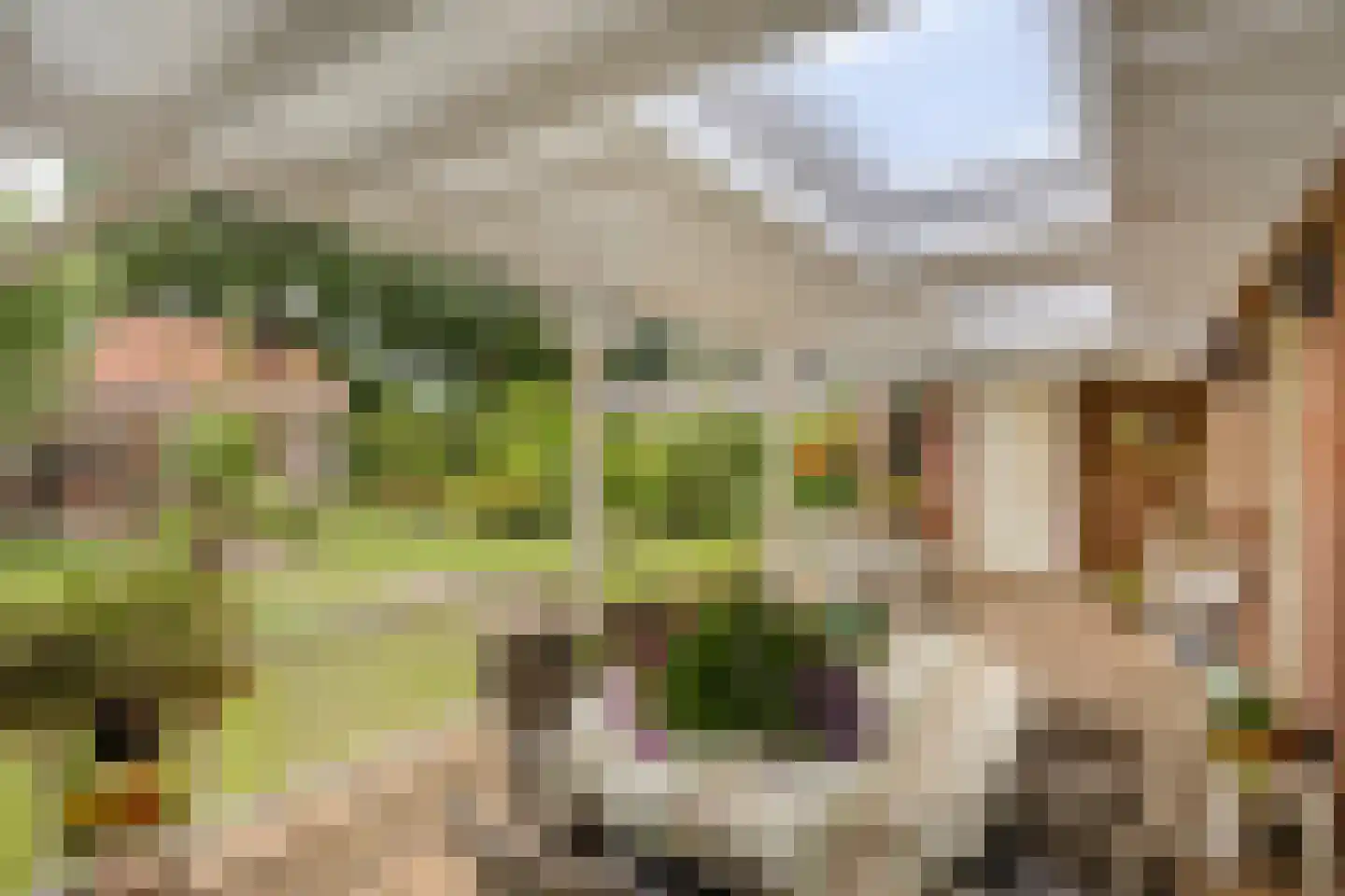Zittertstraat 2 Grave thumbnail 23