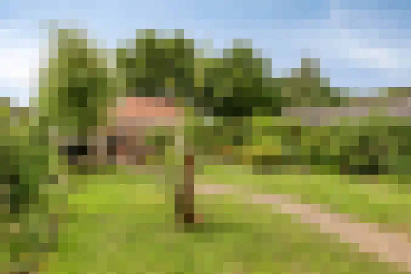 Zittertstraat 2 Grave thumbnail 25