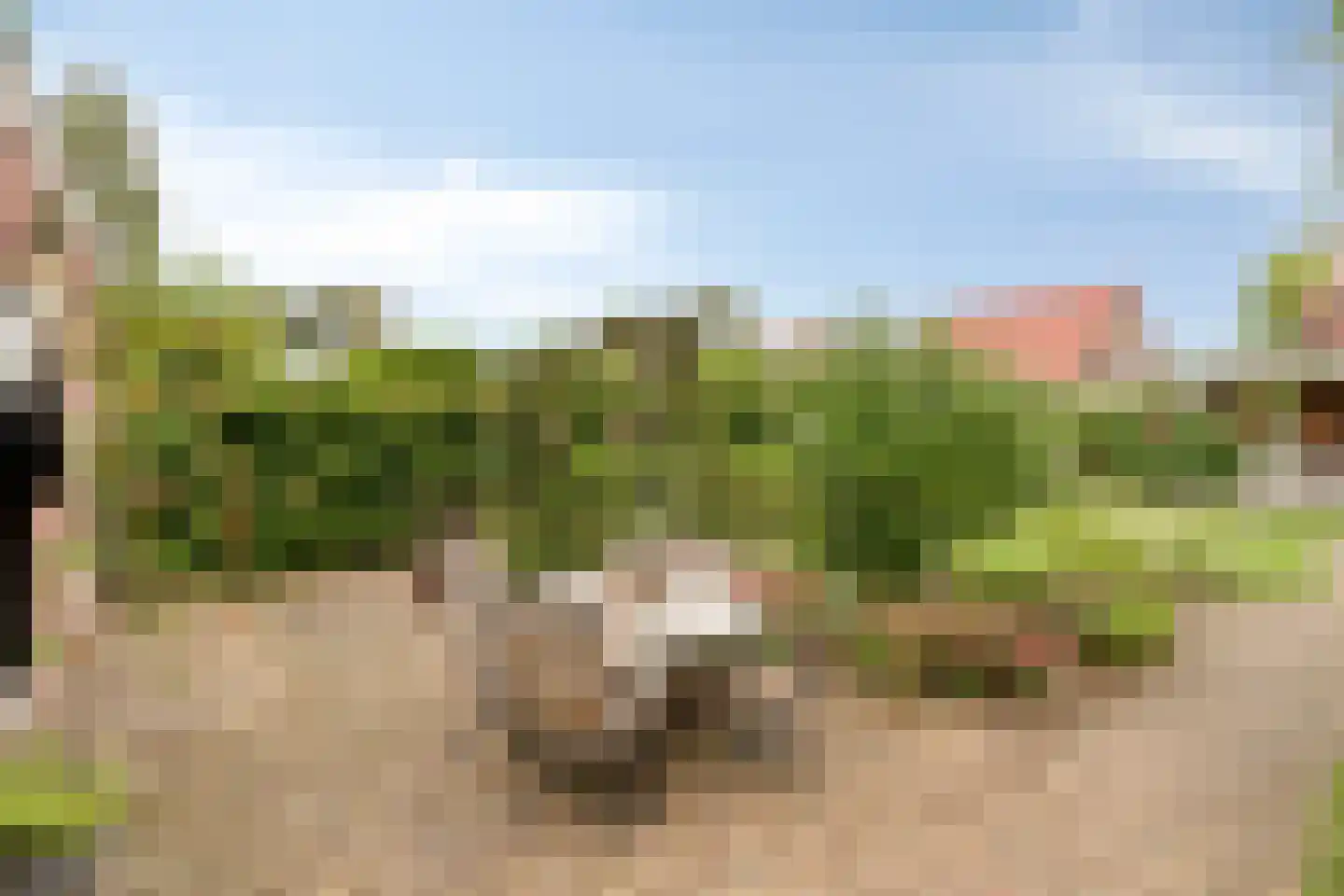 Zittertstraat 2 Grave thumbnail 26