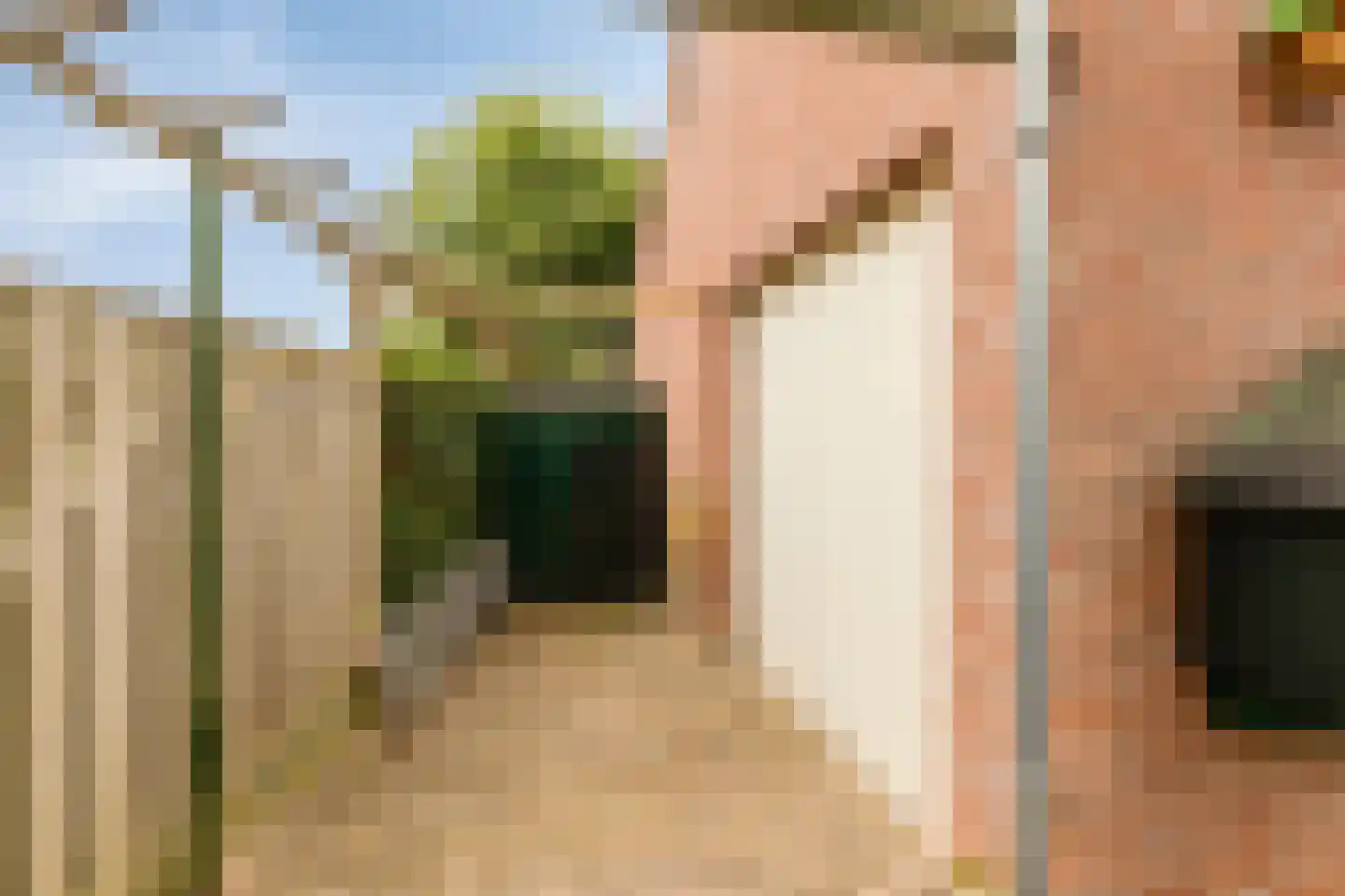 Zittertstraat 2 Grave thumbnail 27