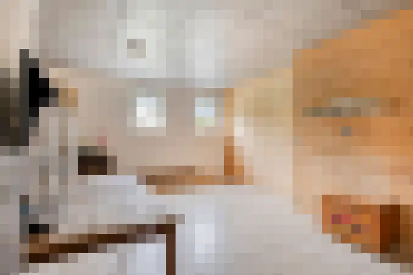 Zittertstraat 2 Grave thumbnail 30