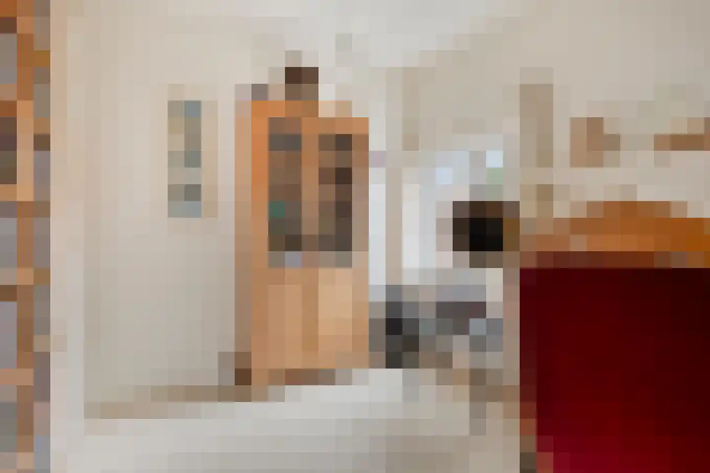 Zittertstraat 2 Grave thumbnail 47