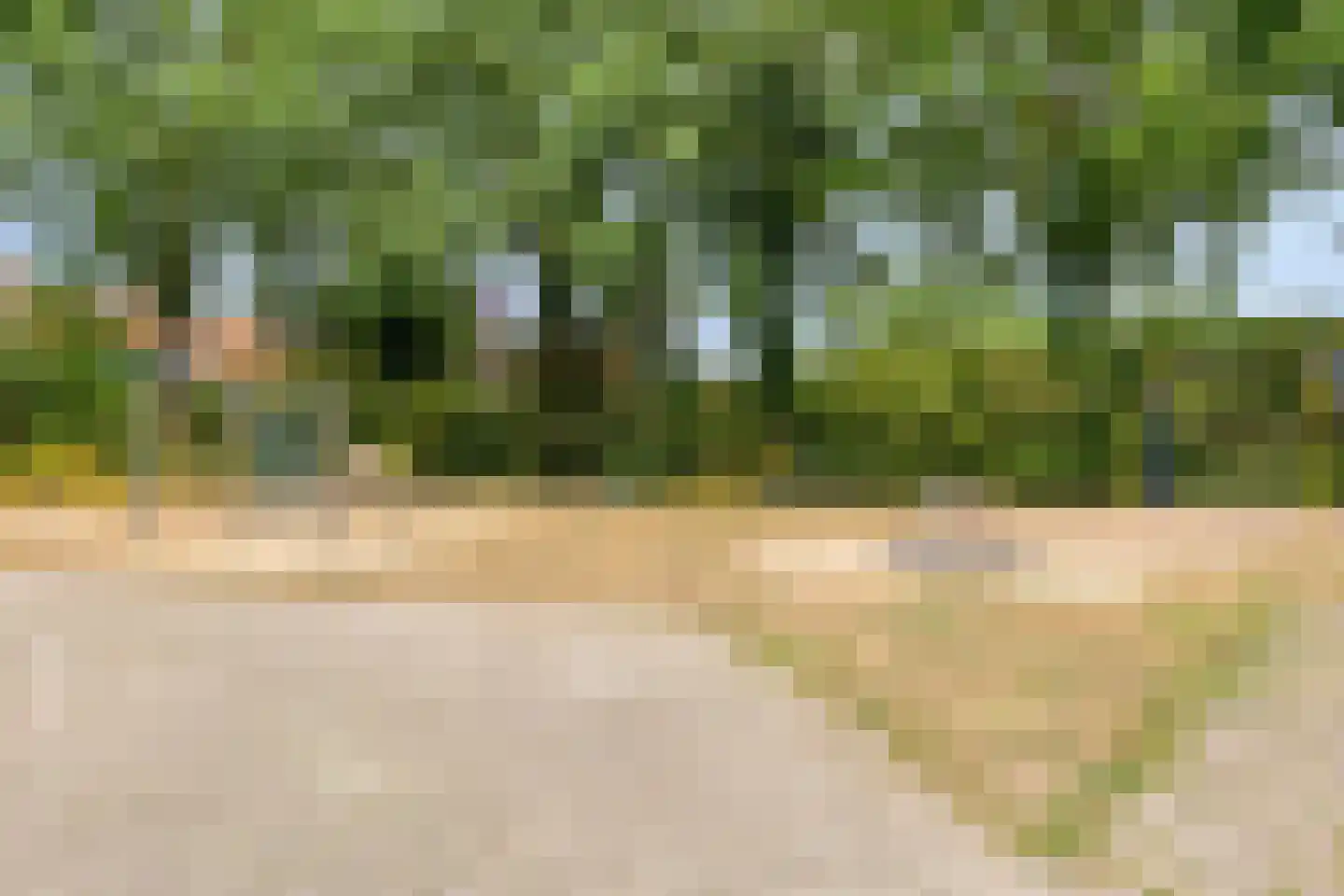 Zittertstraat 2 Grave thumbnail 53