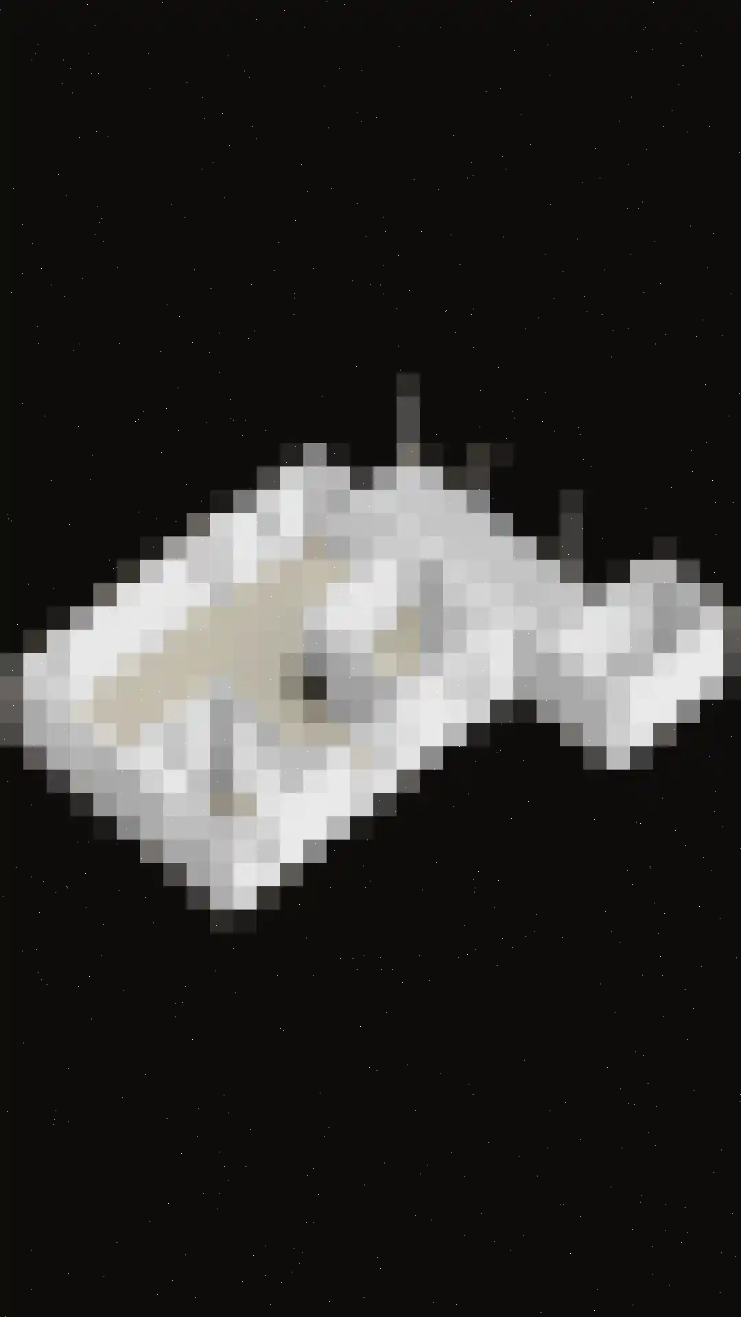Zittertstraat 2 Grave thumbnail 65