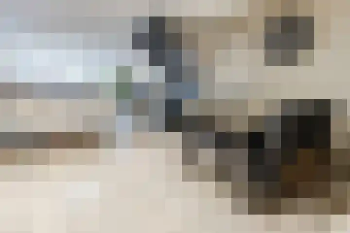 Zjoekowlaan 43 Delft thumbnail 11