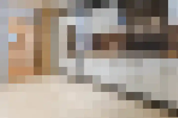 Zjoekowlaan 43 Delft thumbnail 13