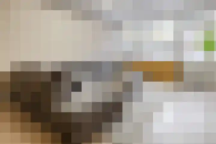 Zjoekowlaan 43 Delft thumbnail 16