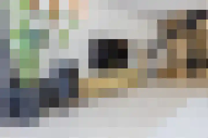 Zjoekowlaan 43 Delft thumbnail 17