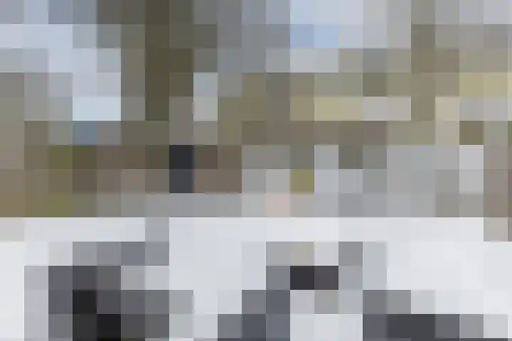 Zjoekowlaan 43 Delft thumbnail 18