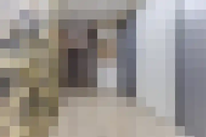 Zjoekowlaan 43 Delft thumbnail 25