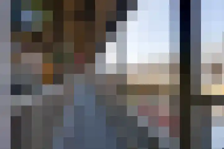 Zocalo 12 Assendelft thumbnail 12