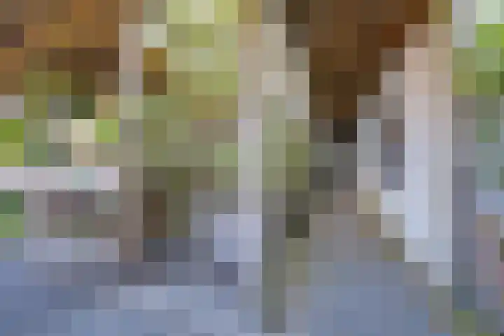Zocalo 12 Assendelft thumbnail 13