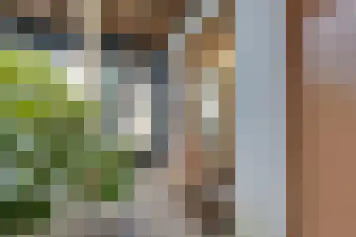 Zocalo 12 Assendelft thumbnail 14