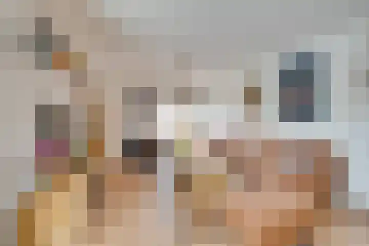 Zocalo 12 Assendelft thumbnail 19