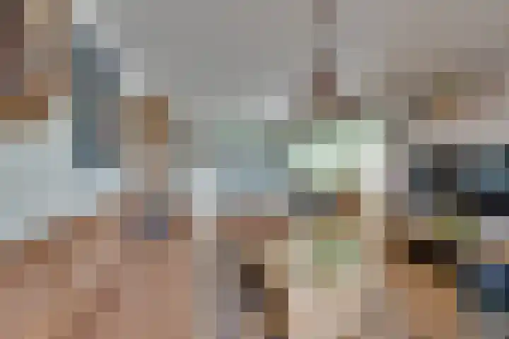Zocalo 12 Assendelft thumbnail 20