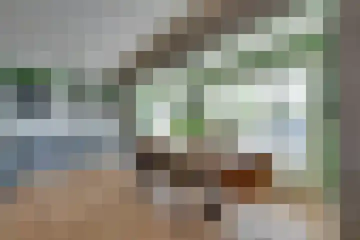 Zocalo 12 Assendelft thumbnail 23