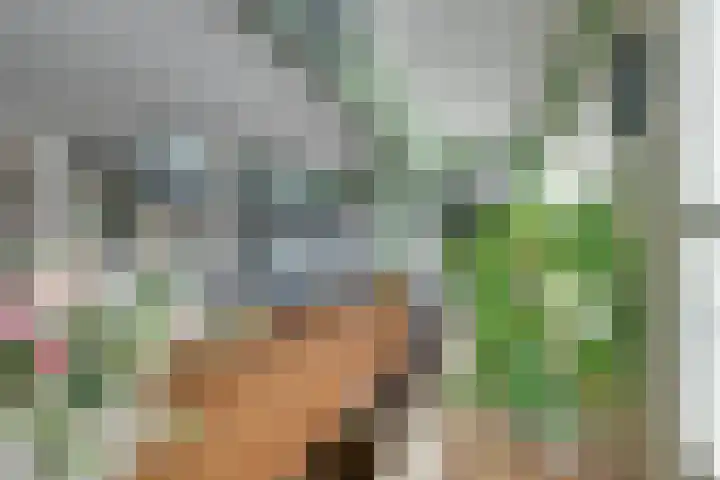 Zocalo 12 Assendelft thumbnail 24