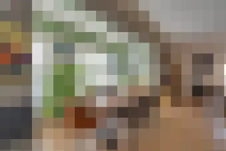 Zocalo 12 Assendelft thumbnail 26